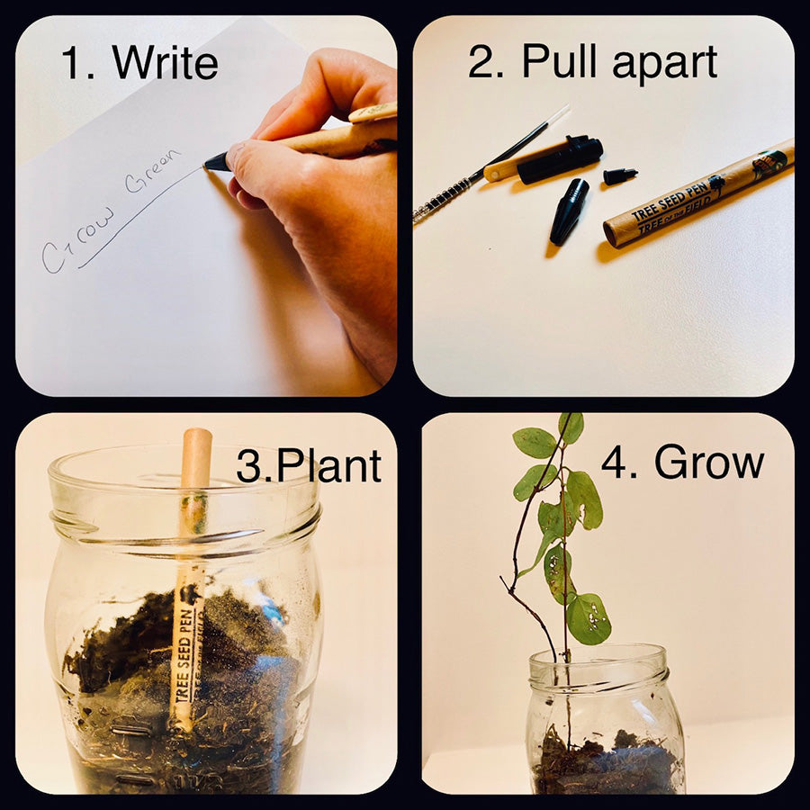 Tree Seed Pen